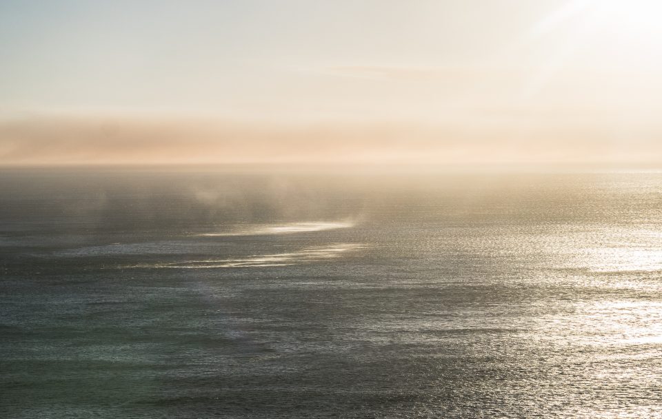 Chapman's Peak
